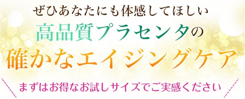 ���}�[���v���Z�����t���������T�C�g